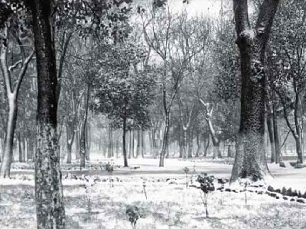 Hace 55 años nevó en la CDMX Bosque de Chapultepec
