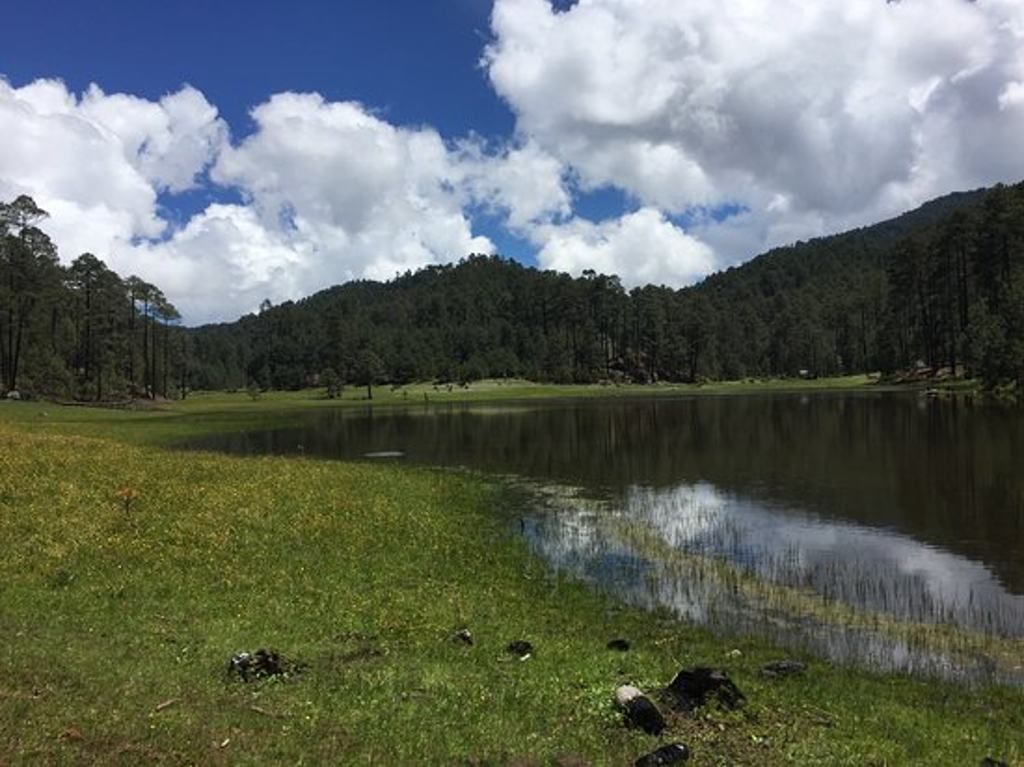 la-neveria-oaxaca