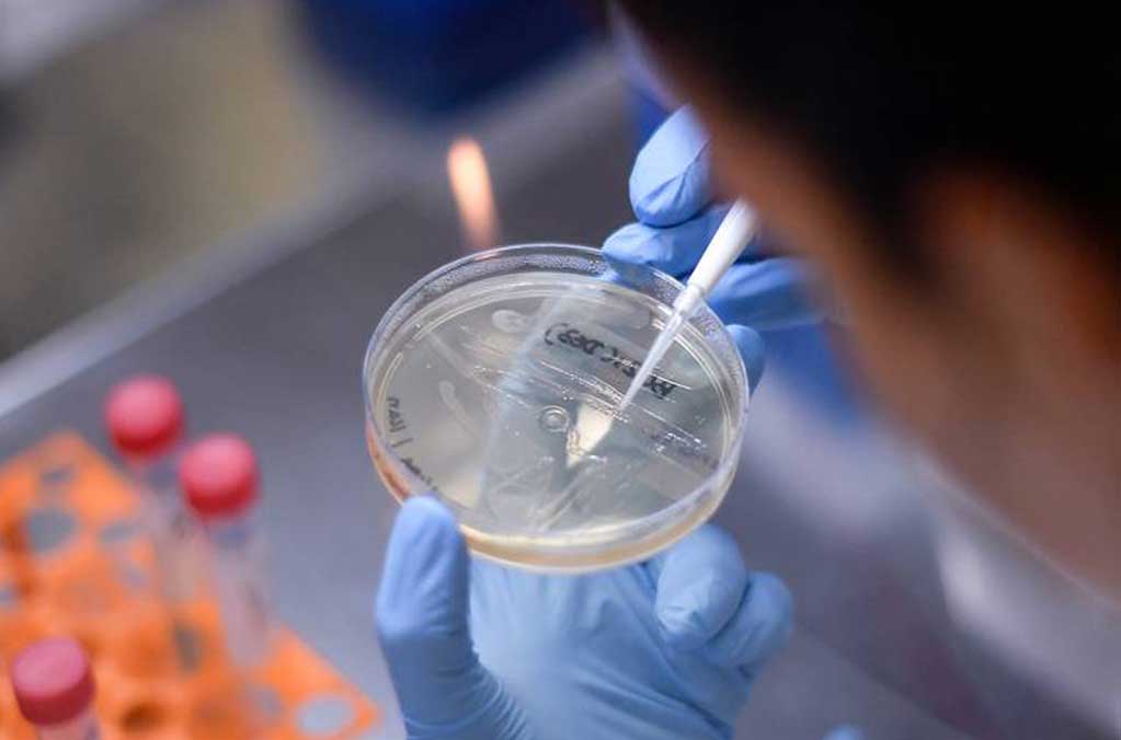 ¡Entérate! La UNAM realiza pruebas PCR a un precio más accesible 1