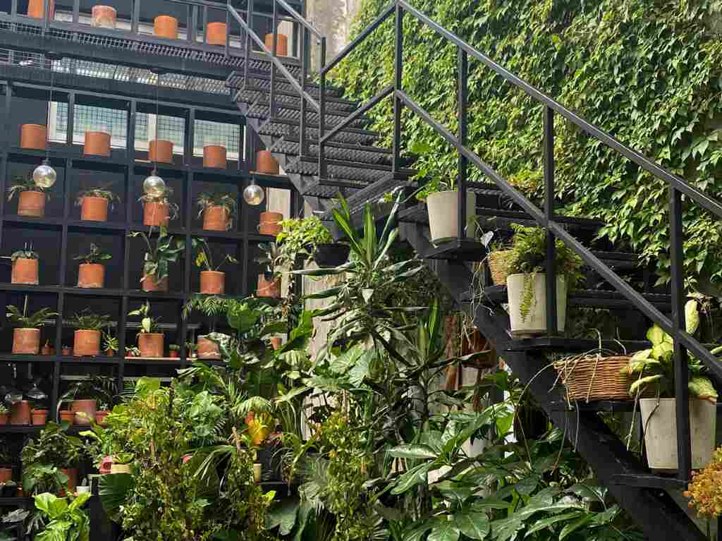 Librero Verde: una tienda interactiva para amantes de las plantas Plantas