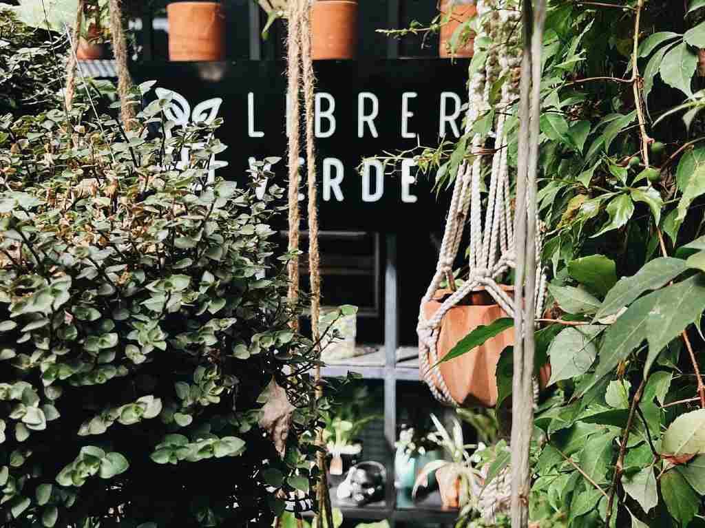 Librero Verde: una tienda interactiva para amantes de las plantas Portada