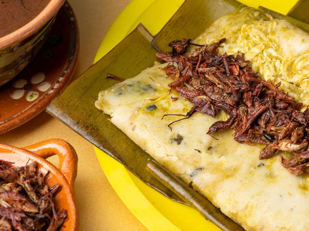 los mejores tamales en CDMX de chapulines