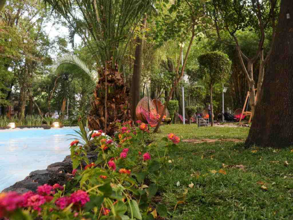 10 lugares verdes poco conocidos que explorar en CDMX Audiorama Parque México