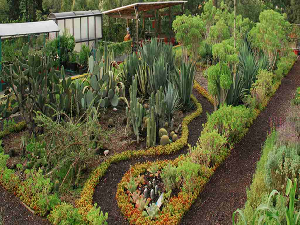 10 lugares verdes poco conocidos que explorar en CDMX Jardín Botánico CICEANA