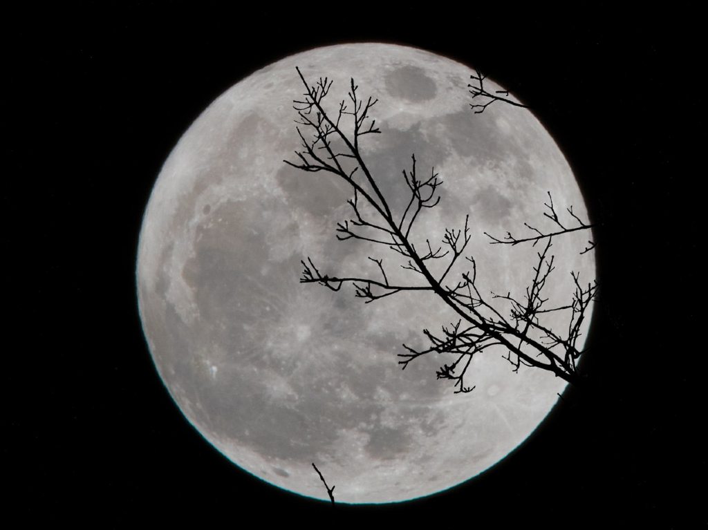 Luna de Lobo: la primera luna llena del 2022 ¡imperdible!