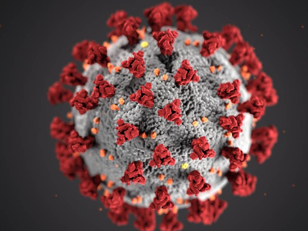 Mapa Covid-19 en México qué zonas registran más contagios Coronavirus