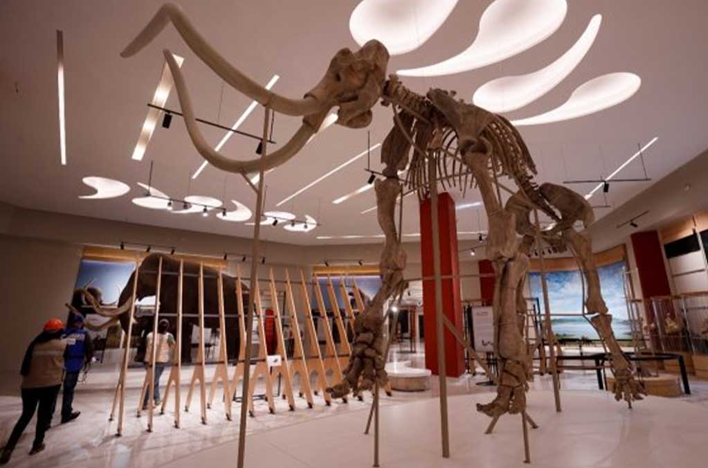 museo-del-mamut-en-santa-lucia-2022