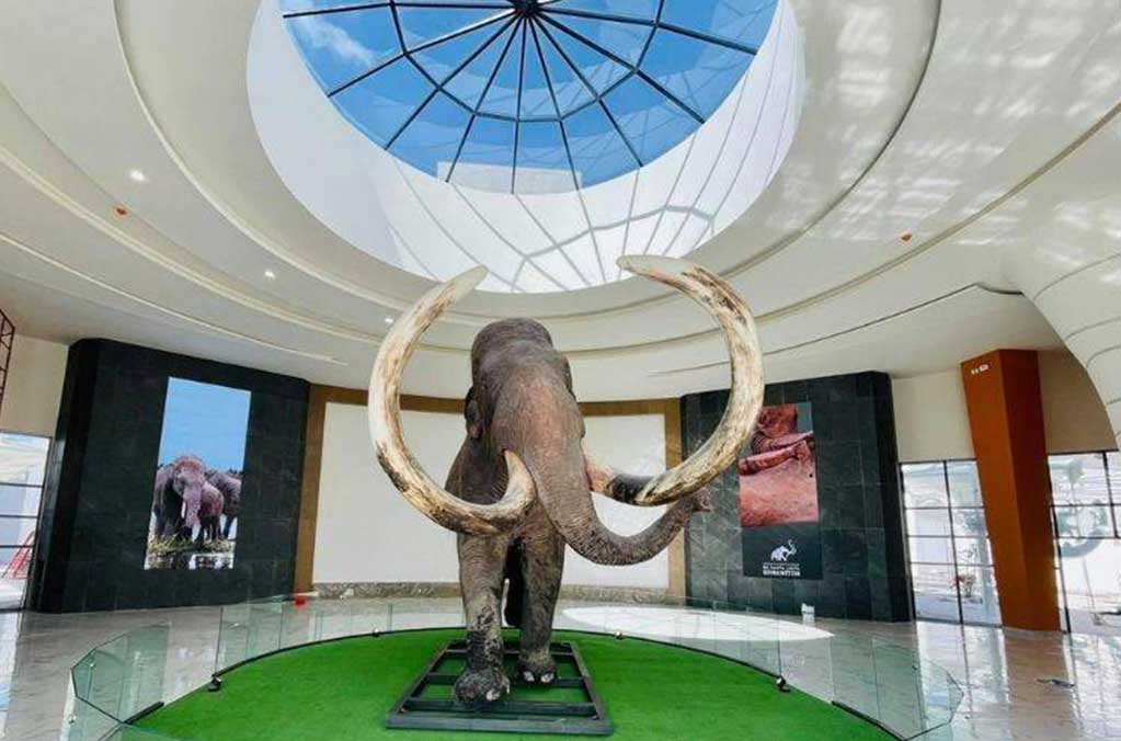 museo-del-mamut-en-santa-lucia