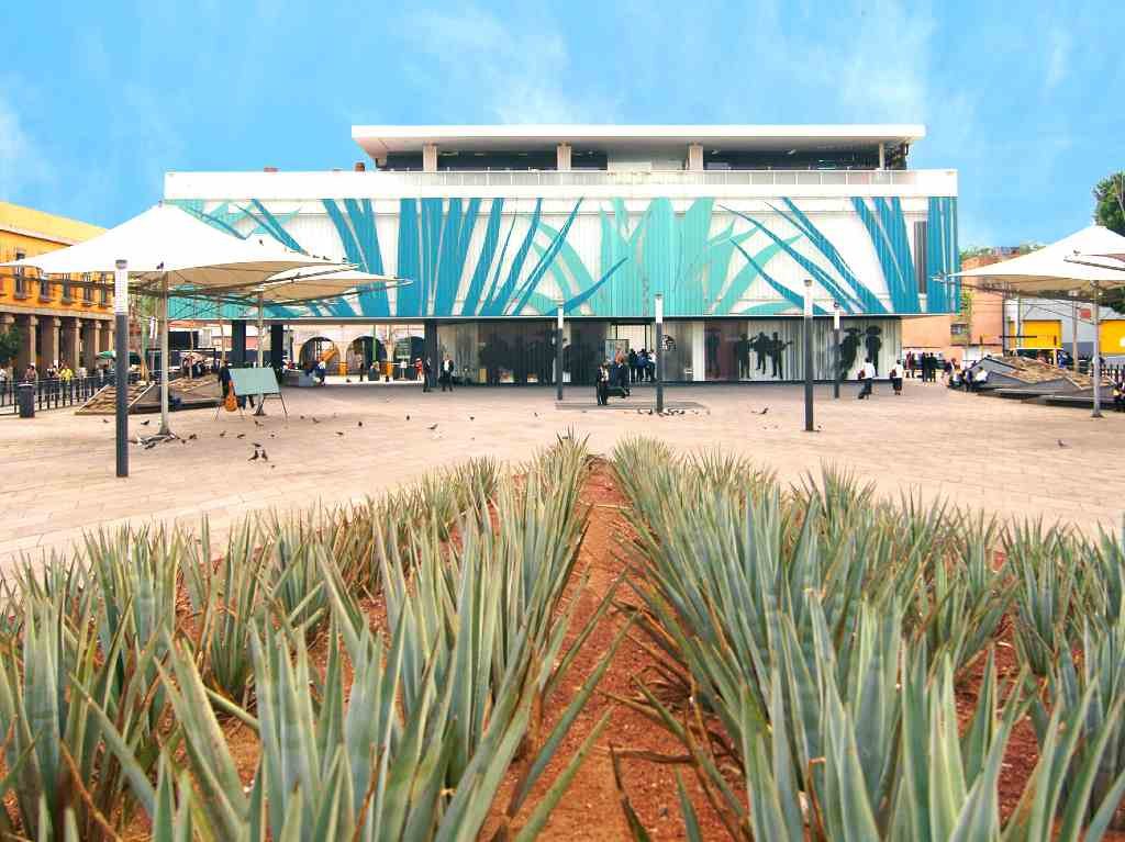 Museos fiesteros: del pulque, tequila, mezcal y más Portada