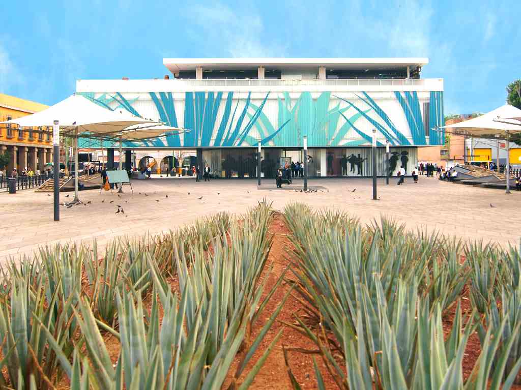 Museos fiesteros: del pulque, tequila, mezcal y más ¡salud!