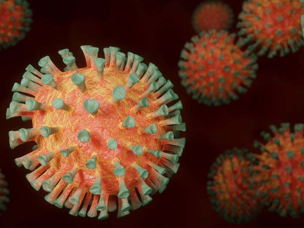 NeoCov nueva cepa virus