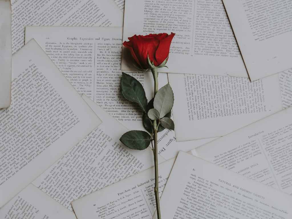 Poemas románticos en Tik Tok para dedicar el 14 de febrero | Dónde Ir