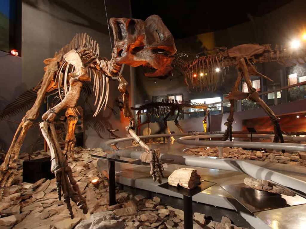 Reto Museos: visita estos 12 recintos culturales en 2022 Museo del Desierto