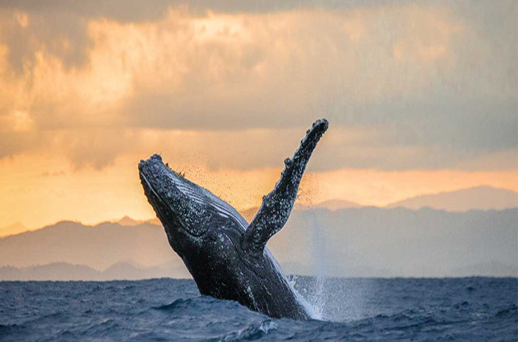 Zihuatanejo top 5 de los destinos sustentables del New York Times 1