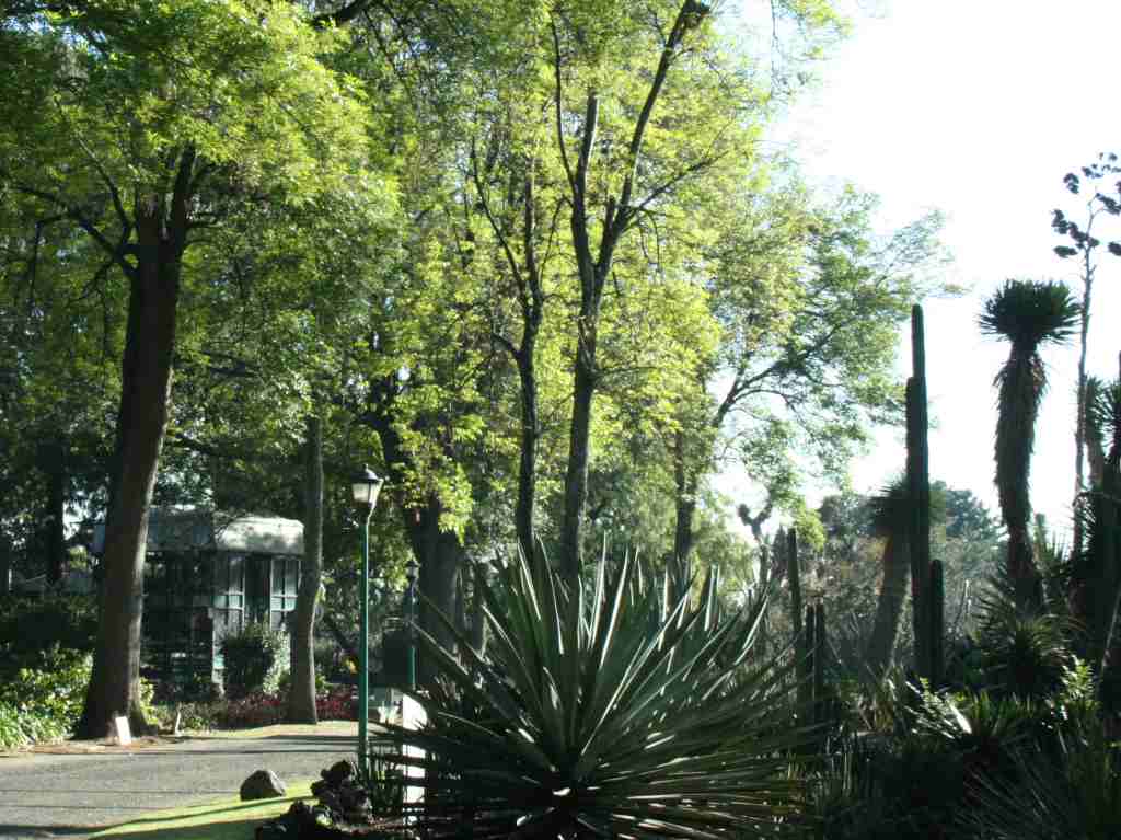 Los 27 recintos culturales de la UNAM que debes conocer en CDMX Jardín Botánico