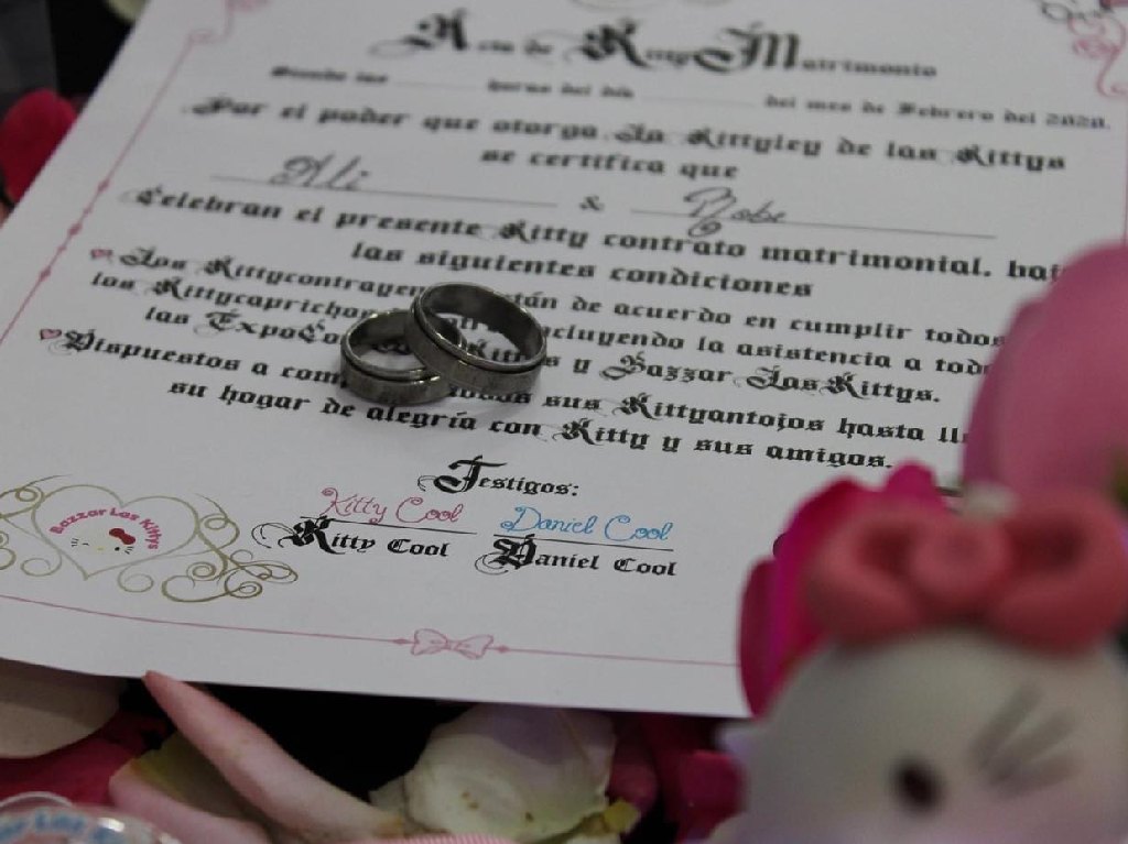 Bodas de Hello Kitty argollas