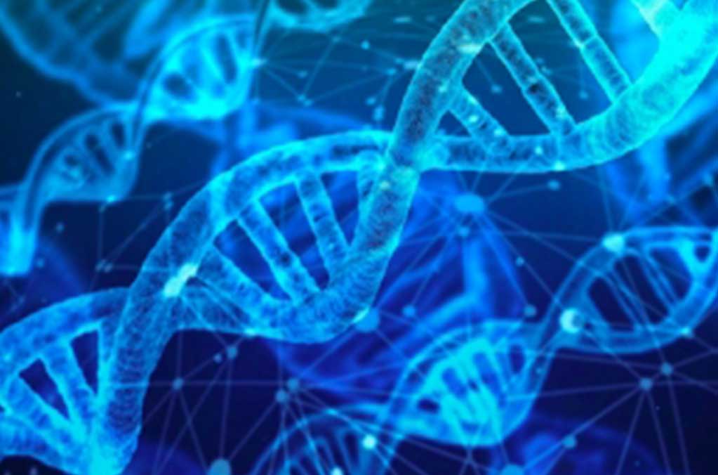 Crean Banco con Perfiles Genéticos de ADN en CDMX 1