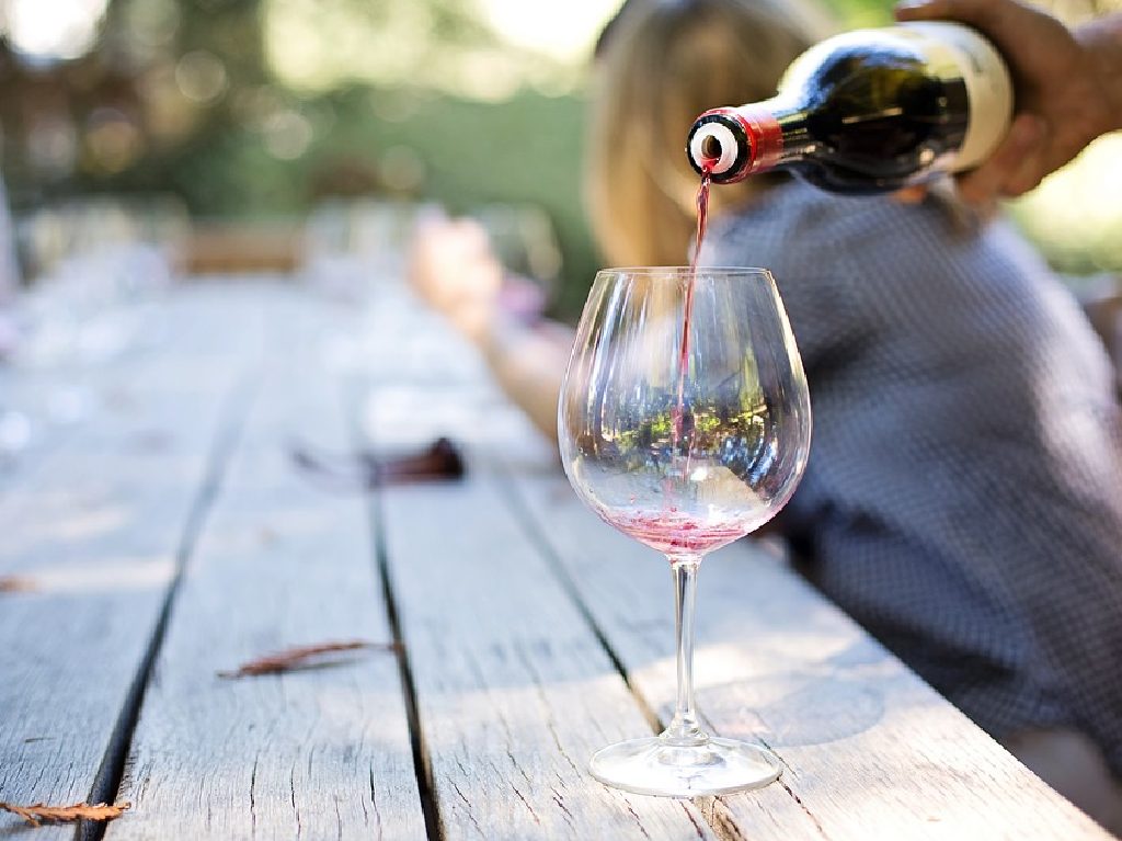 Festival 100 vinos mexicanos 2022 cata