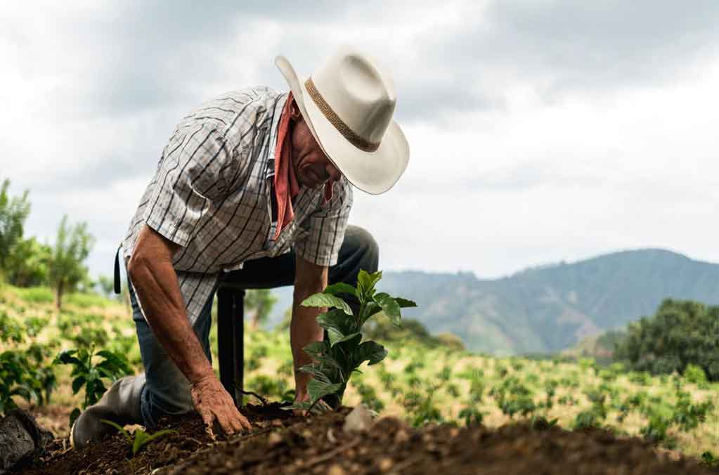 Jóvenes construyendo el futuro y Sembrando vida, llegarán a Cuba y Haití 0