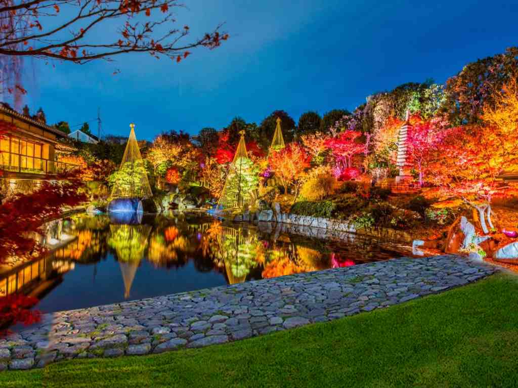 Lights of Japan: una experiencia digital, culinaria y cultural en CDMX Jardín