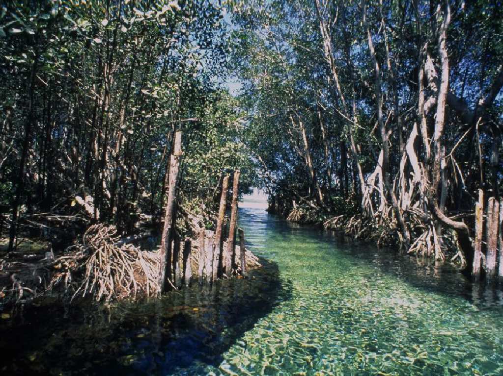 Alojamientos para conectar con la naturaleza ¡Todos están en México!