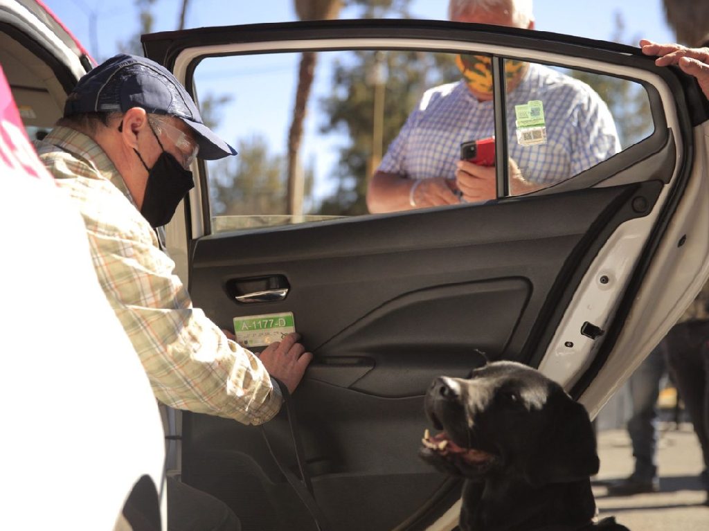 nuevos taxis CDMX perro