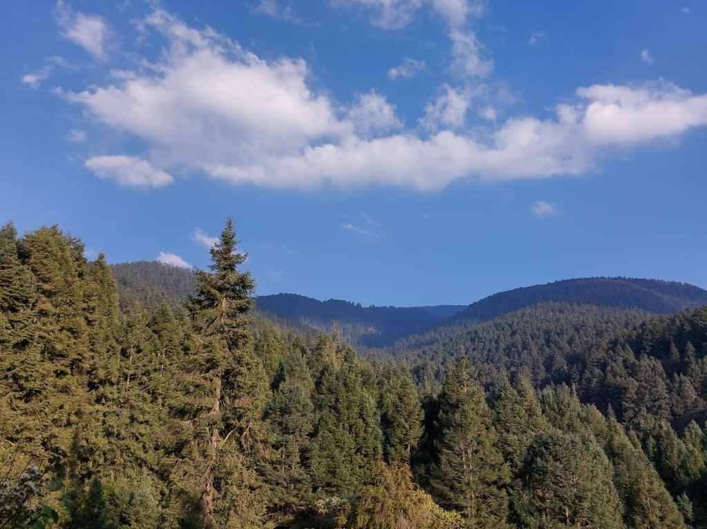 Parilla Bosque: vino, cerveza y cortes de carne en la Marquesa Paisaje