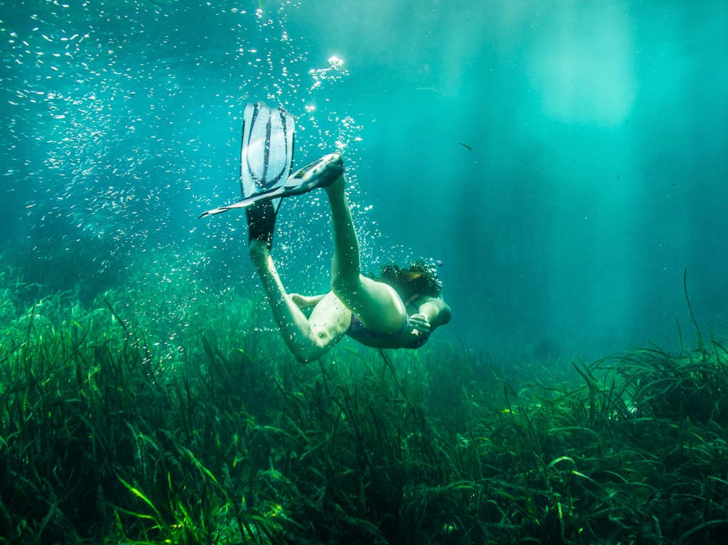 actividades-acuaticas-imperdibles-de-florida-que-debes-hacer-cuando-vayas