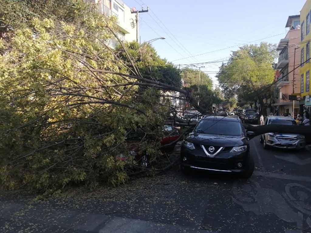 Alertan vientos fuertes en 11 alcaldías de CDMX