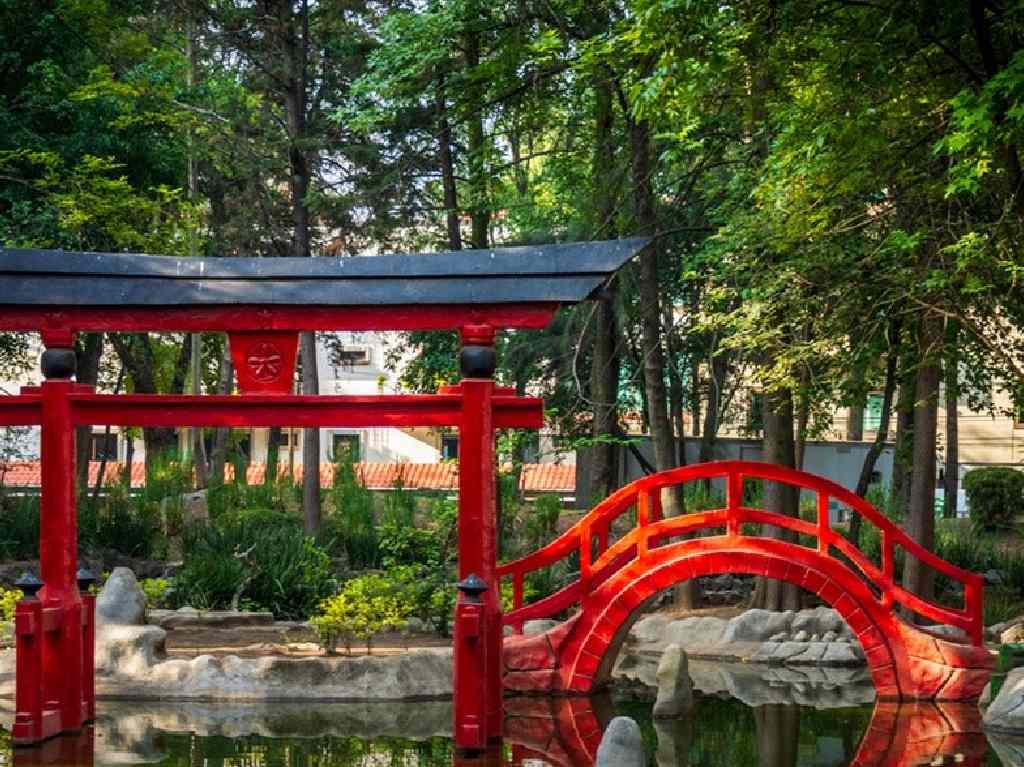 Campos de Flores en México jardín japonés