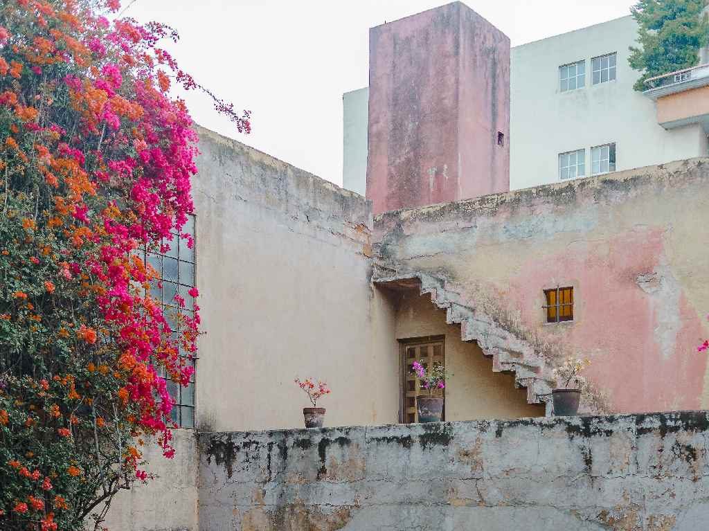 Disfruta de una cena maridaje en Casa Ortega de Luis Barragán