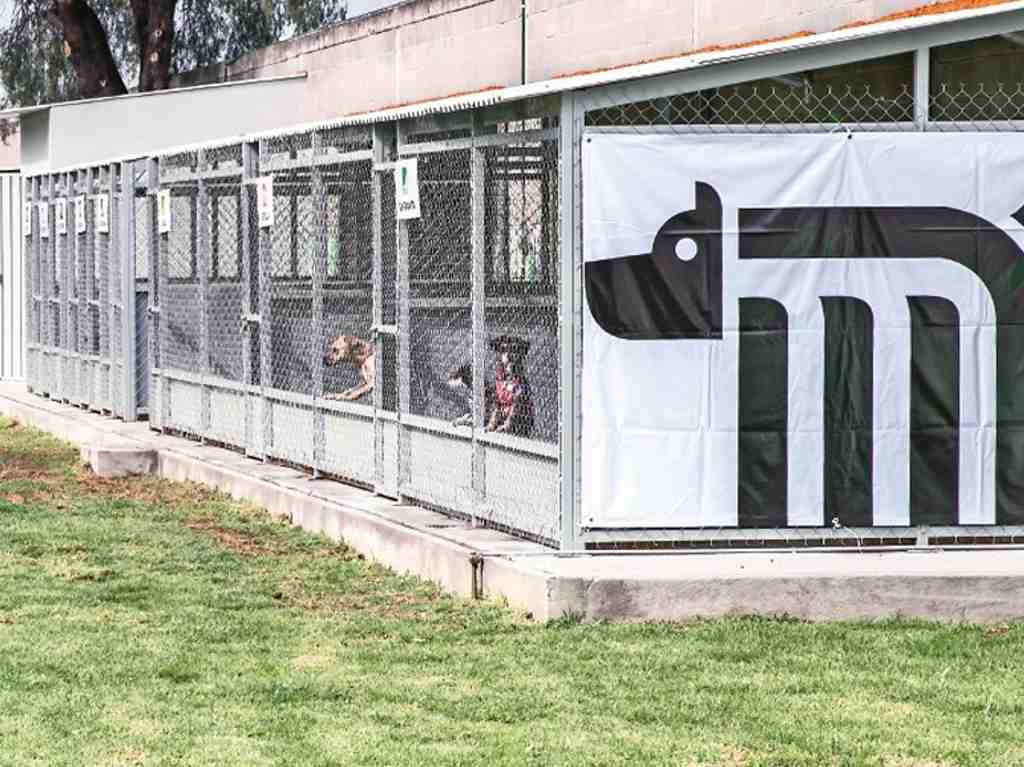 Conoce el Centro Canino del Metro y adopta un amigo Instalaciones