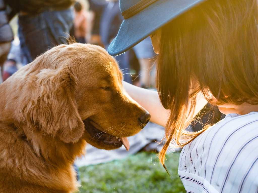 Conoce el Centro Canino del Metro y adopta un amigo Perros