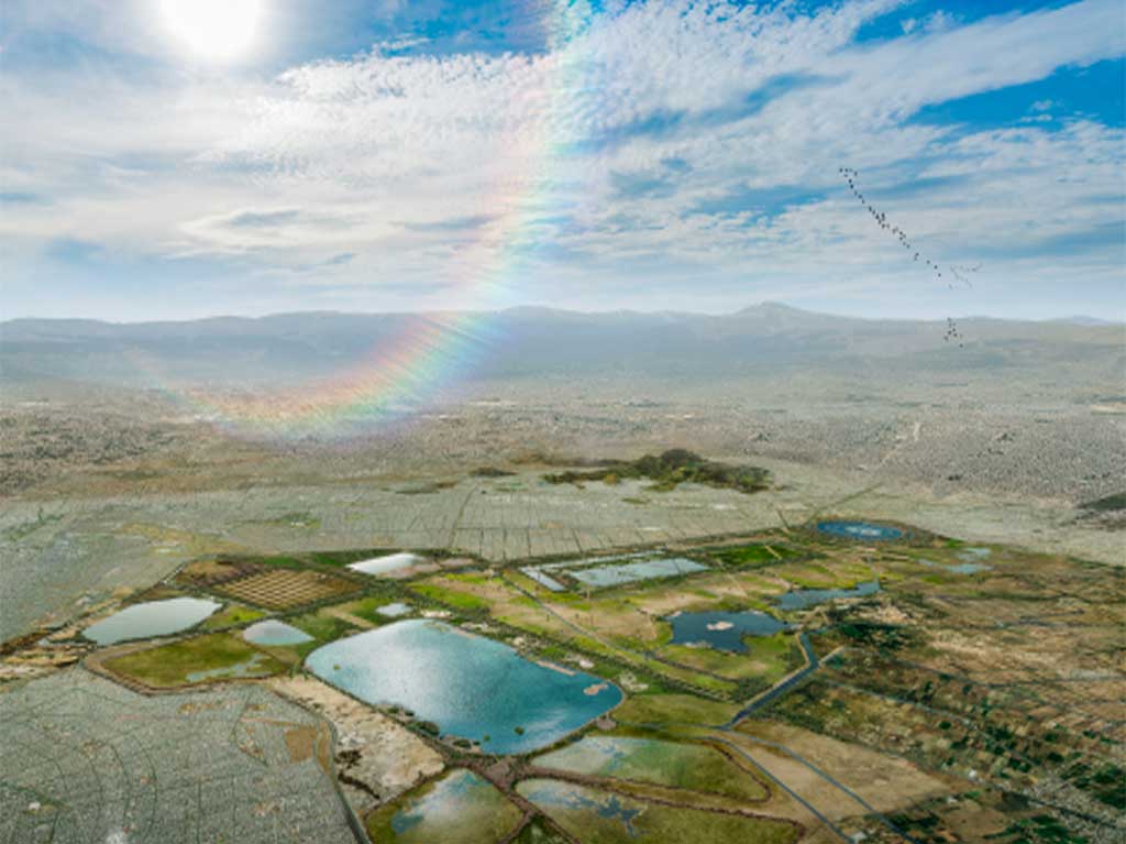 El Lago de Texcoco es declarado nueva Área Natural Protegida