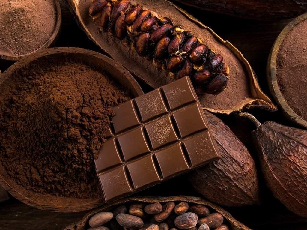 Feria del Café, la Miel y el Cacao