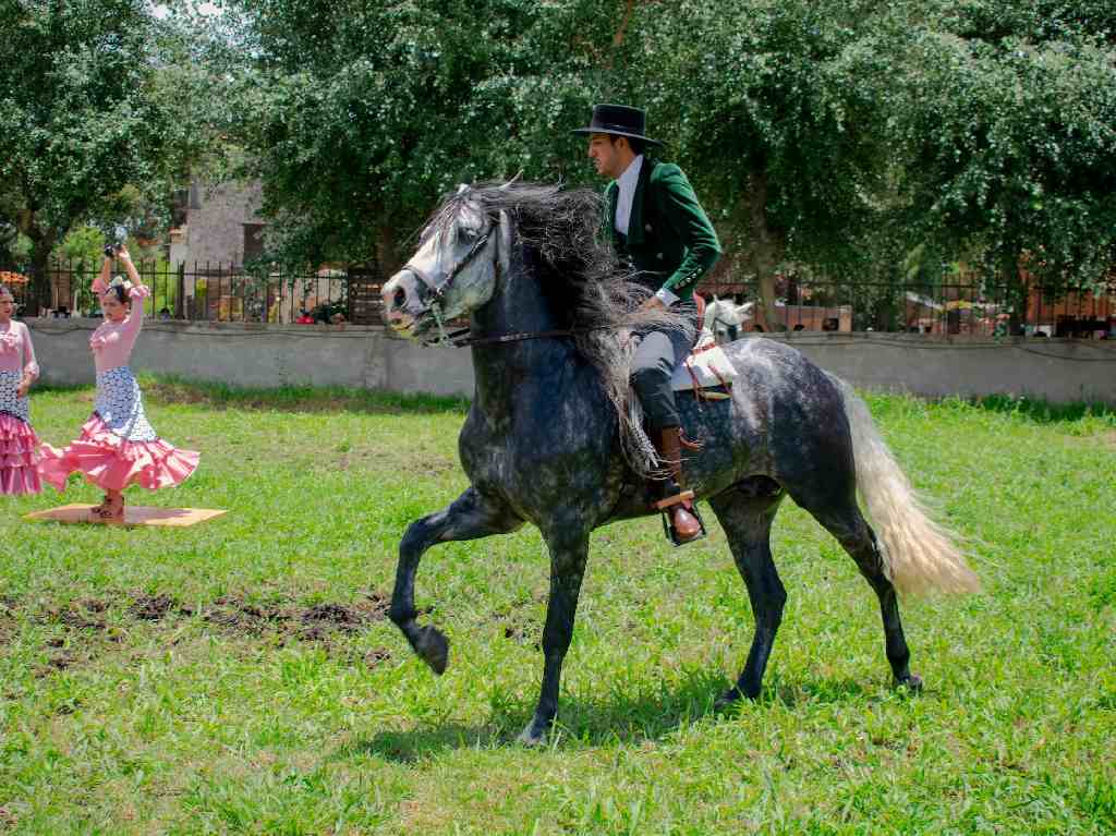 Festival Intervinos en Tlaxcala caballo