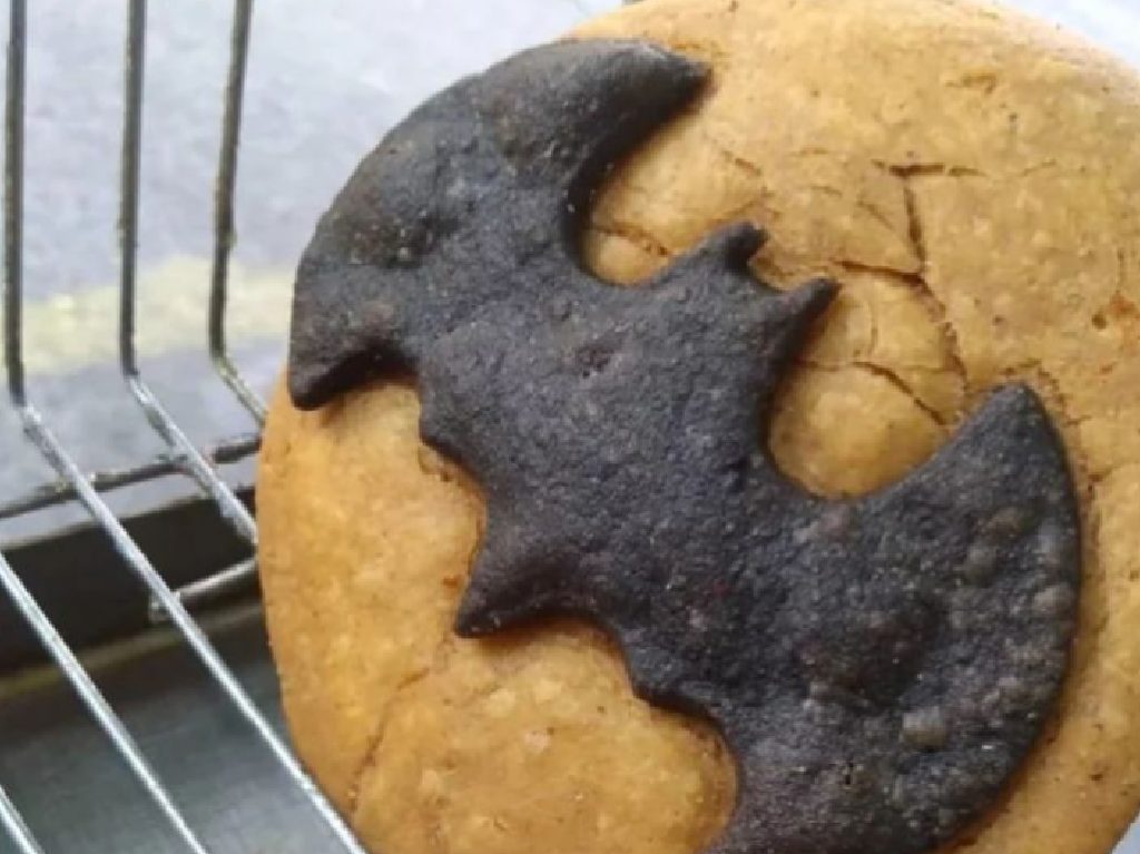 GordiBatman gordita