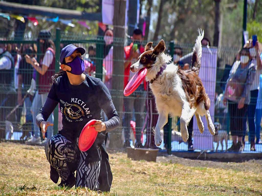 Mundo Animal: el nuevo parque canino más grande de la CDMX