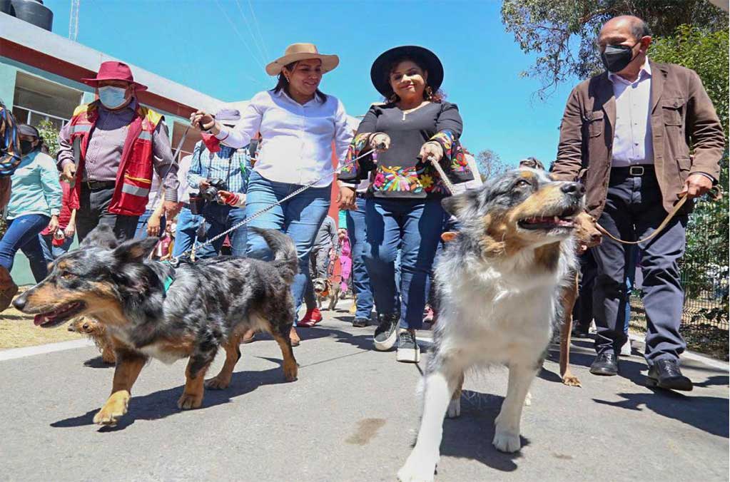 Mundo Animal: el nuevo parque canino más grande de la CDMX 0