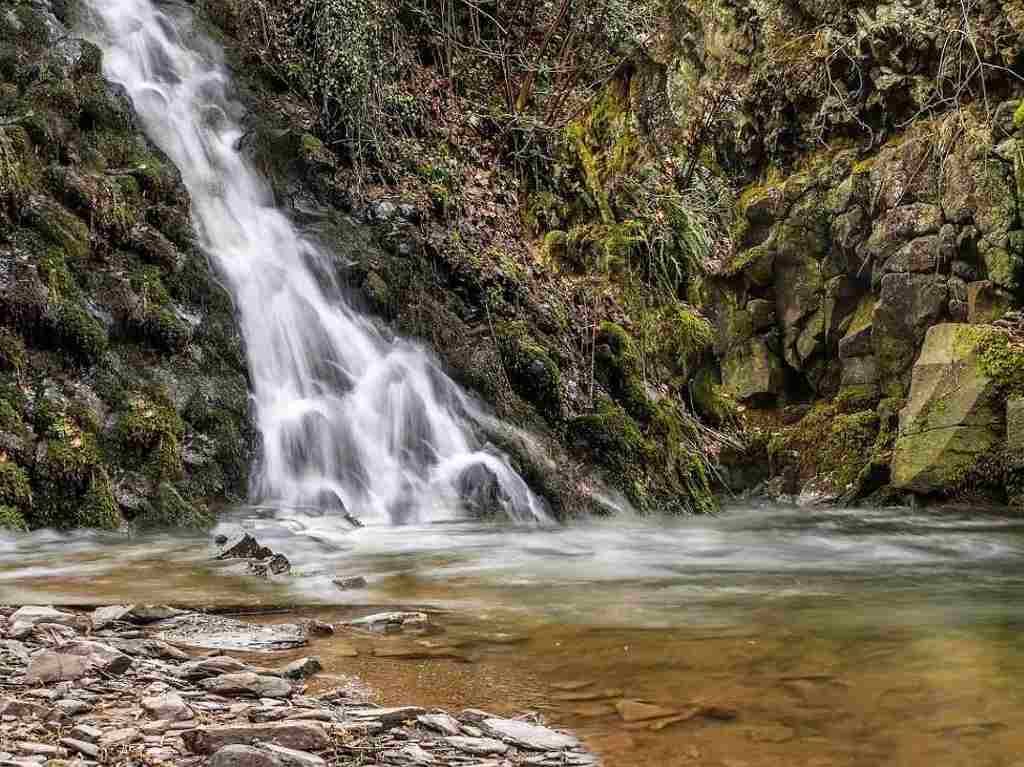 Parque Acuático El Río en Hidalgo reabrirá en Semana Santa Portada