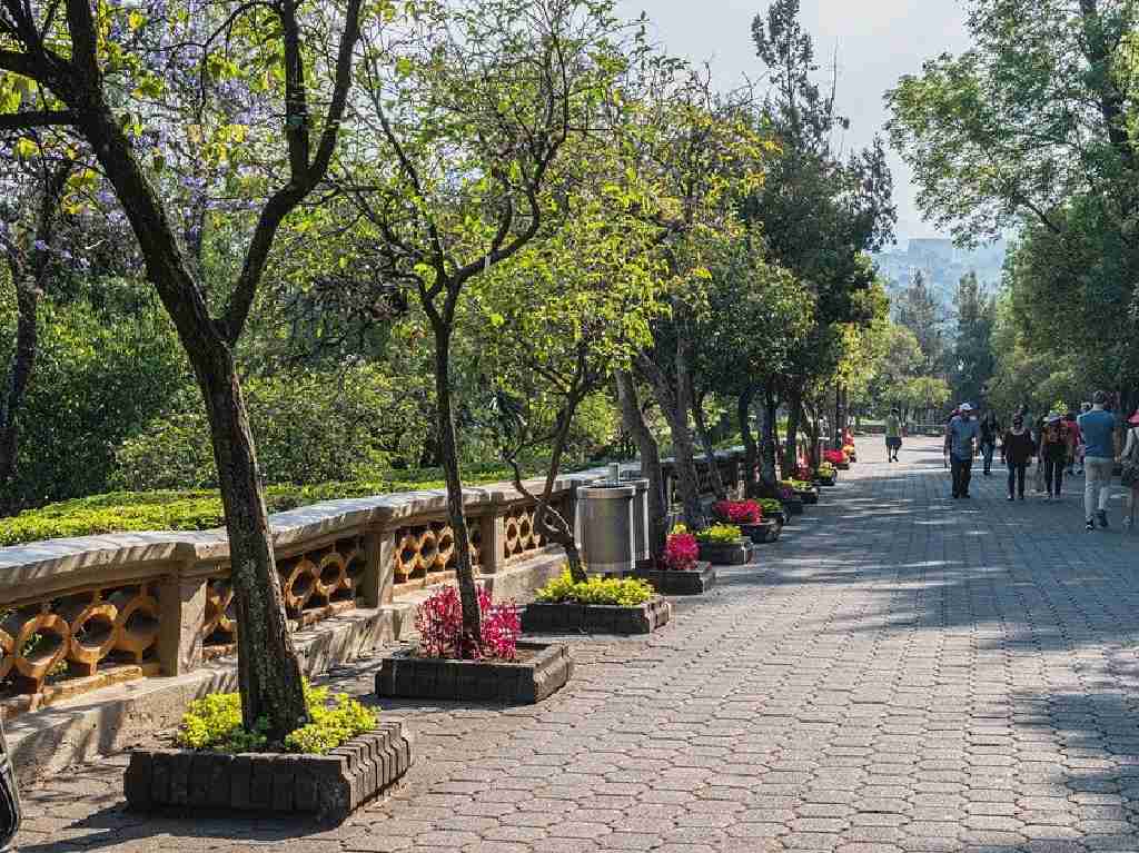 Qué hacer en Chapultepec en marzo recorridos