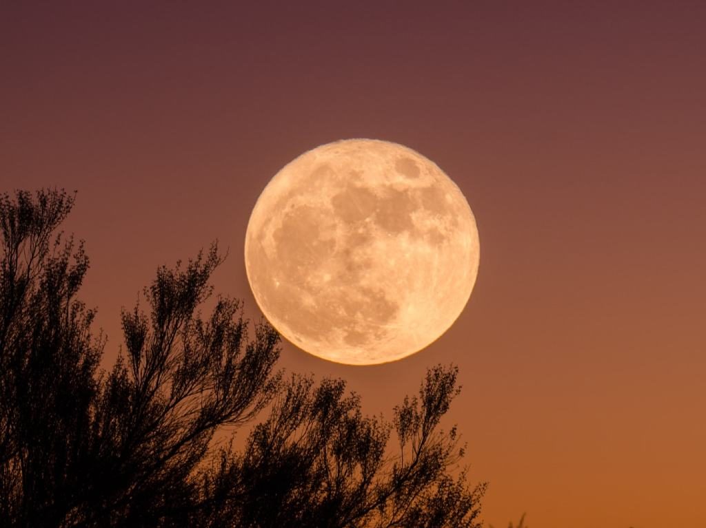 Superluna de Gusano 2022 Portada