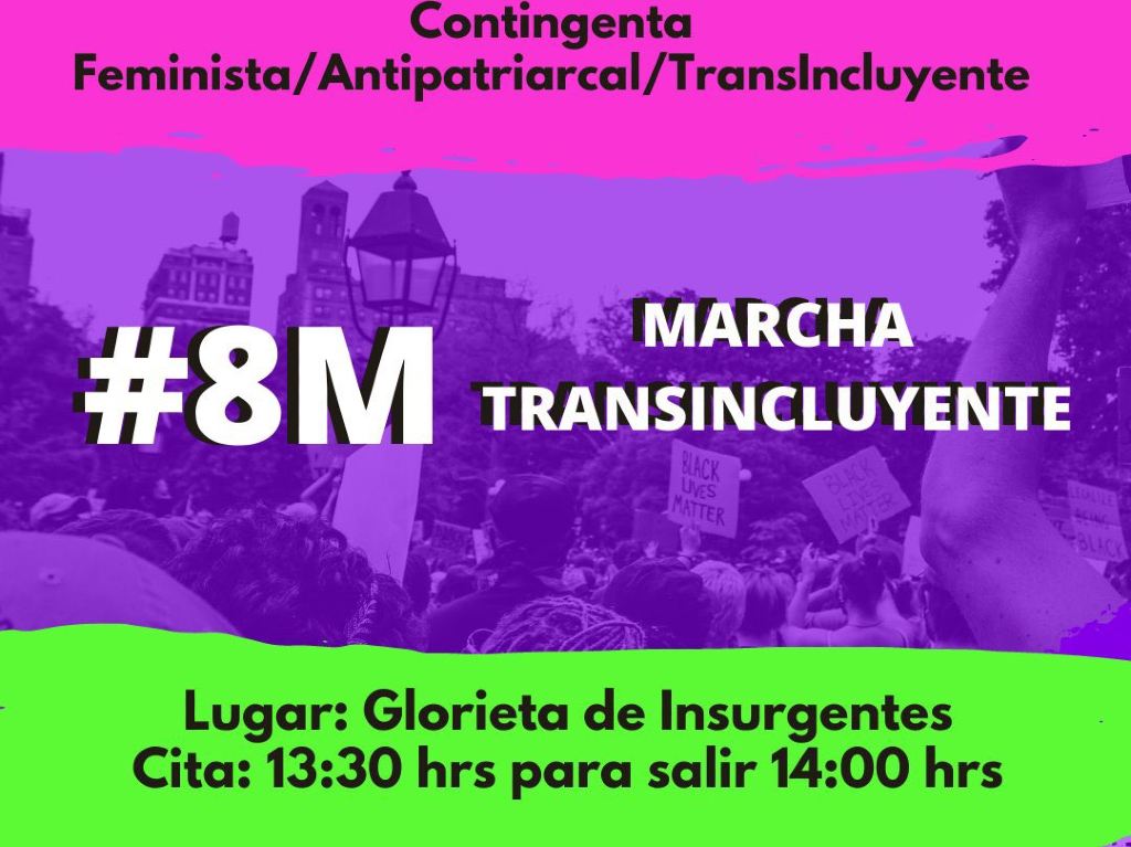 transcontingenta-contingentes-8m