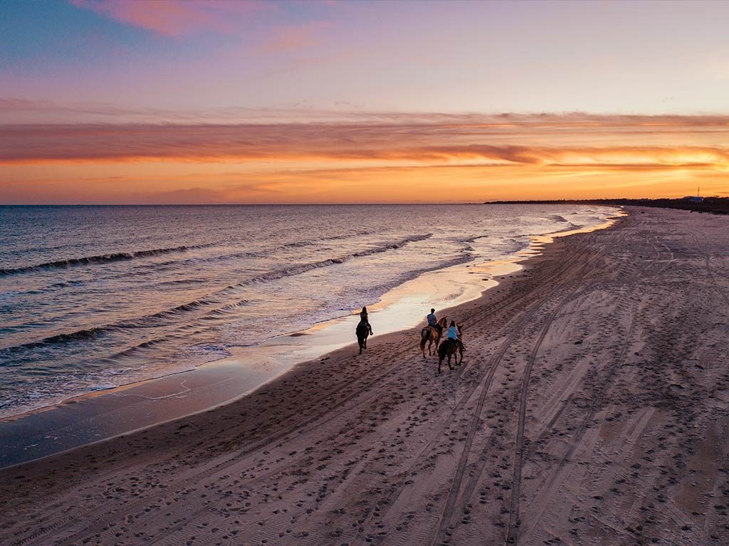 Imperdibles de Florida que debes hacer cuando vayas