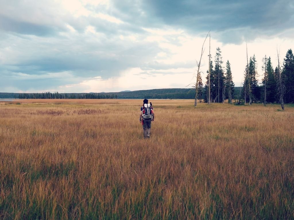 Yellowstone: uno de los parques más hermosos del mundo