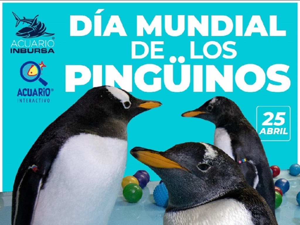 acuario-inbursa-festeja-pinguinos 