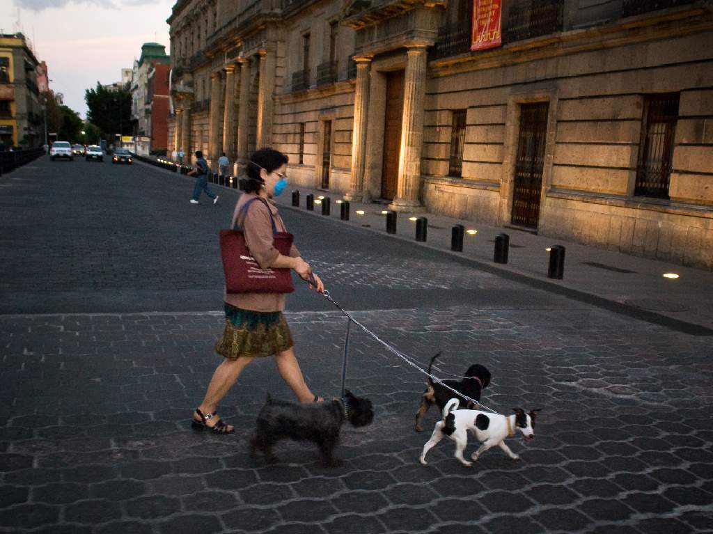 CDMX elimina el uso de cubrebocas paseando perros