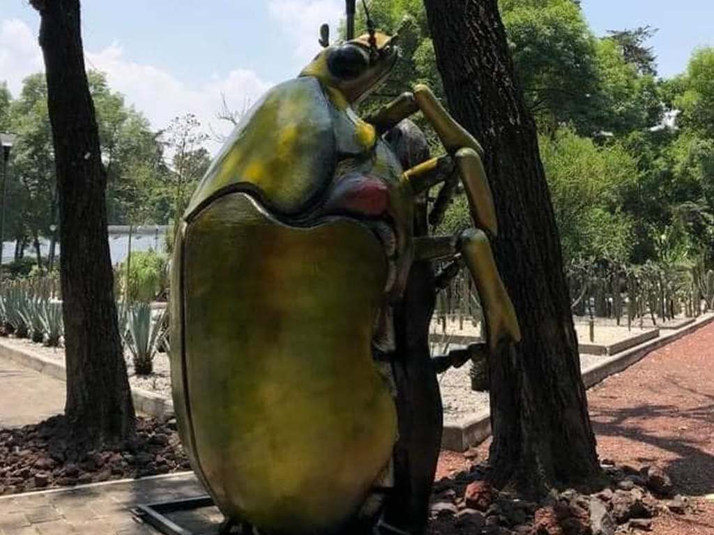 Dónde ir con niños en Semana Santa escarabajo gigante