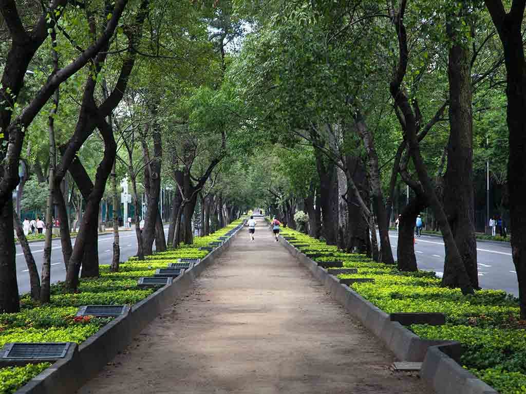 Dónde ir este fin de semana en CDMX