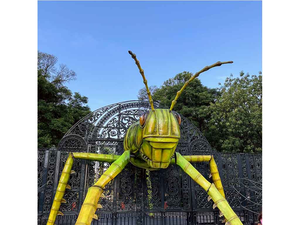 Insecta Festival en el Bosque de chapultepec